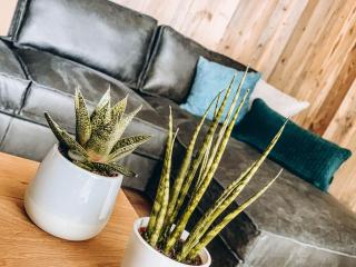 FOUR PEAKS Apartment - 4