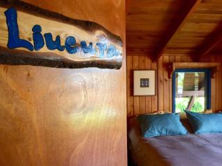 Hostel Raíz - Pucón - 9