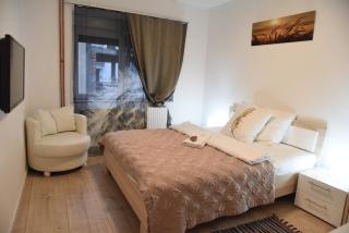 CIRIĆ APARTMANI - Vrnjačka Banja - 4