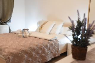 CIRIĆ APARTMANI - Vrnjačka Banja - 3