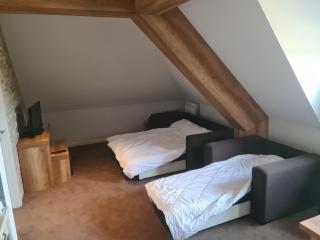 FEMI 503, Župa Aparthotel, Kopaonik - 3