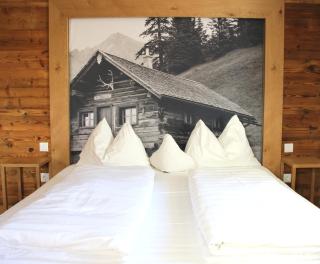 Alpen Suites Brandnertal - Brand - 4