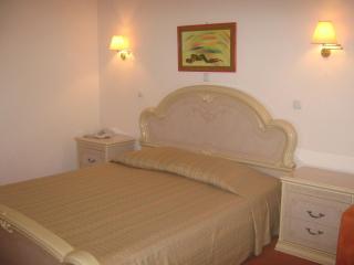 Inex Olgica Hotel & SPA - Ohrid - 4