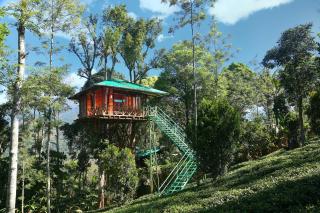 Dream Catcher Plantation Resort - Munnar - 0