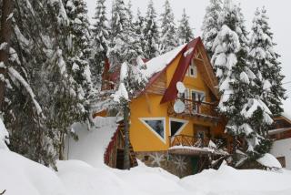 Casa Floare de Colt - Vârtop - 9