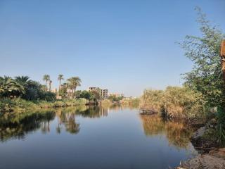 Luxor Old Nile Hotel - 9