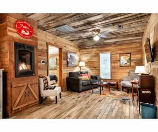 Beary Relaxing Cabin - Rustic with Outdoor Patio - 1