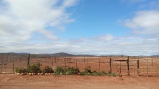 PurePlaas Self catering Volmoed Oudtshoorn Klein Karoo - 8