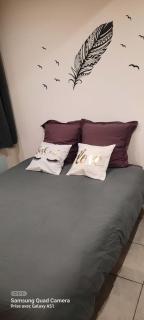 superbe appartement de 40m2 avec parking gratuit sur place - Cuisery - 7