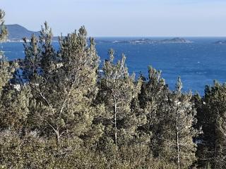 Chez Pierrot - Bandol - 5