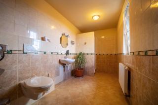 Valnovka Wellness Hotel - Kamenice - 4
