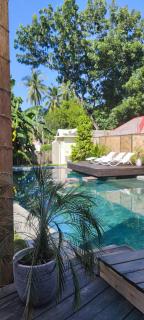 Bongo Bongo Divers - 1