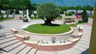 Hotel Ginevra - 2