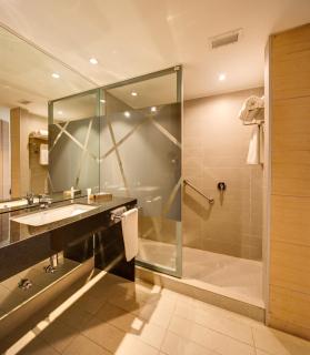 Wyndham Concepcion Pettra - Concepción - 8