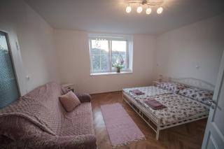 Livi Apartman - Szentantalfa - 9