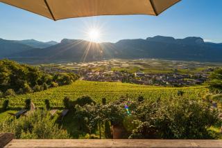 Panorama - Tramin an der Weinstraße - 2