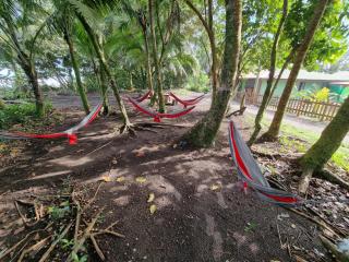 Caribbean View - Tortuguero - 6