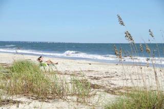 Don't Look Back in Anchor - Oak Island - 0