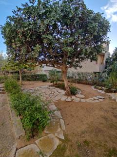 Bougainvillea - Marina di Modica - 2