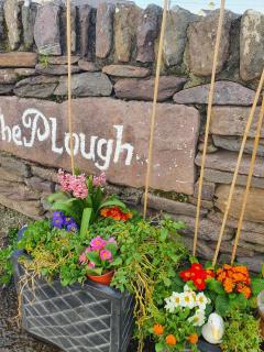 The Plough B&B - 1