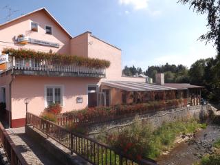 Pension U Vlášků - Karlovy Vary - 2