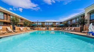Best Western Greenville Airport - Greenville - 4