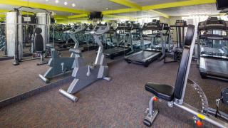 Best Western Greenville Airport - Greenville - 6