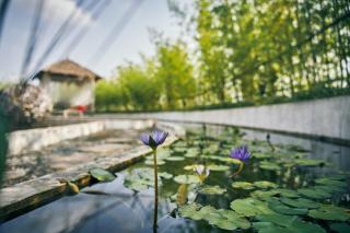 Manli Hotel Shanghai Pudong Airport Branch -Provide free shuttle buses to Pudong Airport and Disneyland - 2