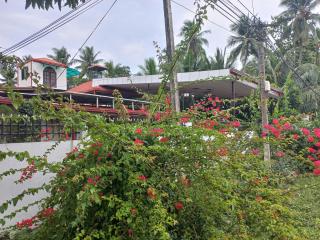 Mayura Rest Inn - Tissamaharama - 9