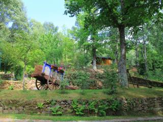 Cabañas de Madera Sanabria - Vigo de Sanabria - 6