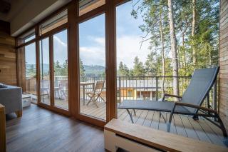 Lipno Port Apartment C304 - Lipno Home - Lipno nad Vltavou - 7