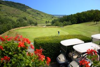Goélia Le Domaine du Golf - Ammerschwihr - 4