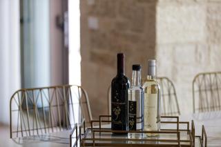Oneiric Exclusive Villas - Atsipopoulo - 1