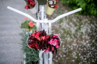 Apartmani Ana & Milo - 3