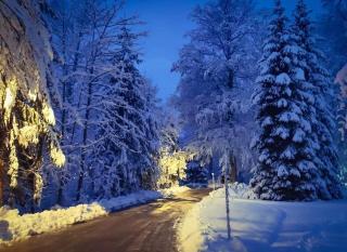 Holiday Home Snow Hill - Prijeboj - 7