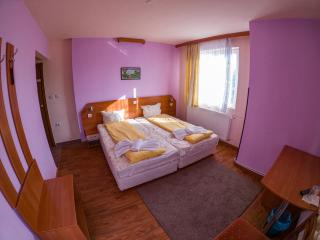 Guest House Bache Todor - Dobrinishte - 8