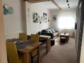 Lola Apartment - Župa, Kopaonik - Kopaonik - 8