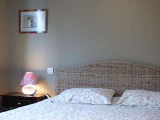 MAISON APPARTEMENT LA BAULE LES PINS - 6