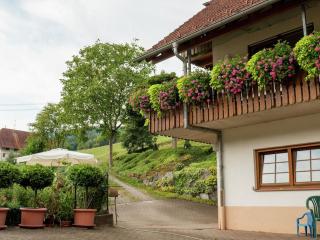 Apartment in Schuttertal with balcony - - 7