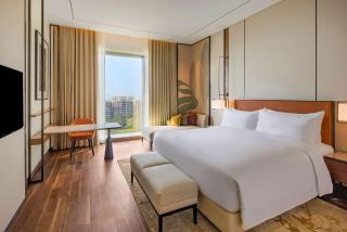 Radisson Blu Hotel & Spa, Nashik - Nashik - 1