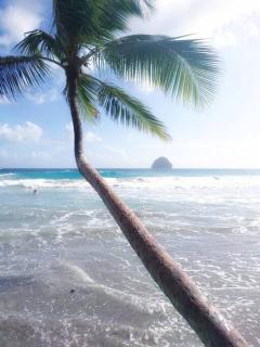 Superbe studio, à 20 mètres de la plage, accès direct Grande Plage Diamant - Le Diamant - 4
