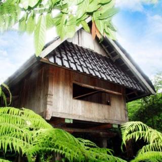 Bali Mountain Retreat - Selemadeg - 9