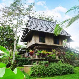 Bali Mountain Retreat - Selemadeg - 8