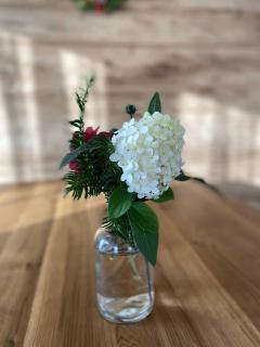 Ferienhaus AUSZEIT - 3