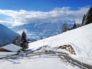 Apartment Gasthof Almluft-1 by Interhome - 8