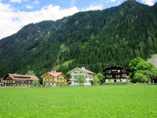 Apartment Rauter-1 by Interhome - Mayrhofen - 3