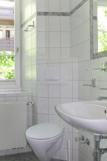 Apartment Rauter-1 by Interhome - Mayrhofen - 4