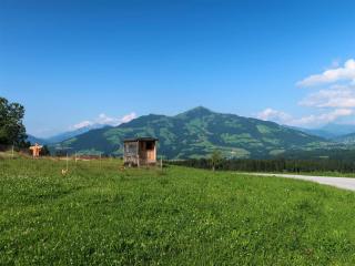 Apartment Entalhof by Interhome - Hopfgarten im Brixental - 6