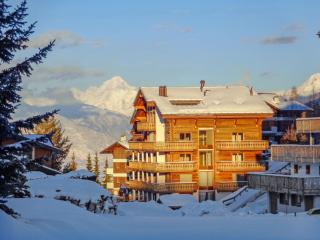 Apartment Les Cimes Blanches 102 A by Interhome - Nendaz - 6