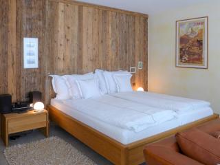Apartment Rütschi-3 by Interhome - Zermatt - 4